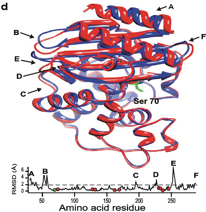 Alactamase